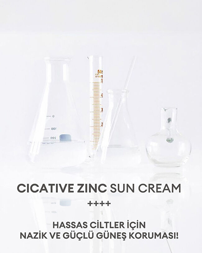 APIEU Cicative Zinc Sun Cream SPF50+/PA++++ | MCLUB