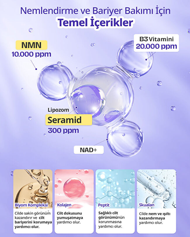 DERMATORY Cera+NMN Repair Cream | MCLUB
